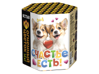 Счастье есть! Салют купить в Иваново | ivanovo.salutsklad.ru