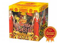 Красивая жизнь Фейерверк купить в Иваново | ivanovo.salutsklad.ru