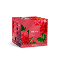 Пионы Салют купить в Иваново | ivanovo.salutsklad.ru