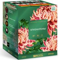 Хризантемы Фейерверк купить в Иваново | ivanovo.salutsklad.ru