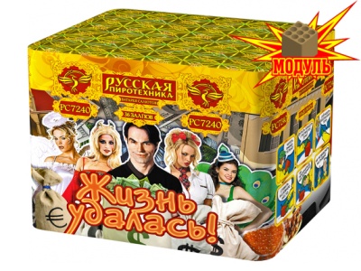 Жизнь удалась Фейерверк купить в Иваново | ivanovo.salutsklad.ru