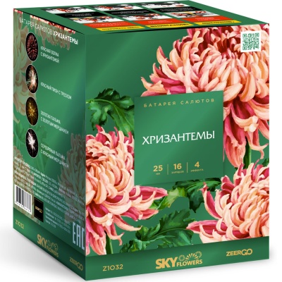 Хризантемы Фейерверк купить в Иваново | ivanovo.salutsklad.ru