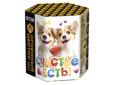 Счастье есть! Салют купить в Иваново | ivanovo.salutsklad.ru